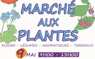 Marché aux plantes